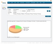 SiDiary Online Piechart